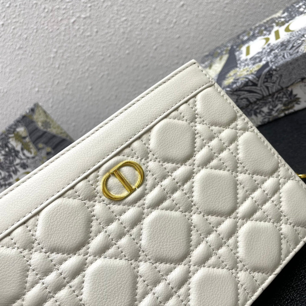 CARO POUCH 19 BAG IN WHITE CALFSKIN