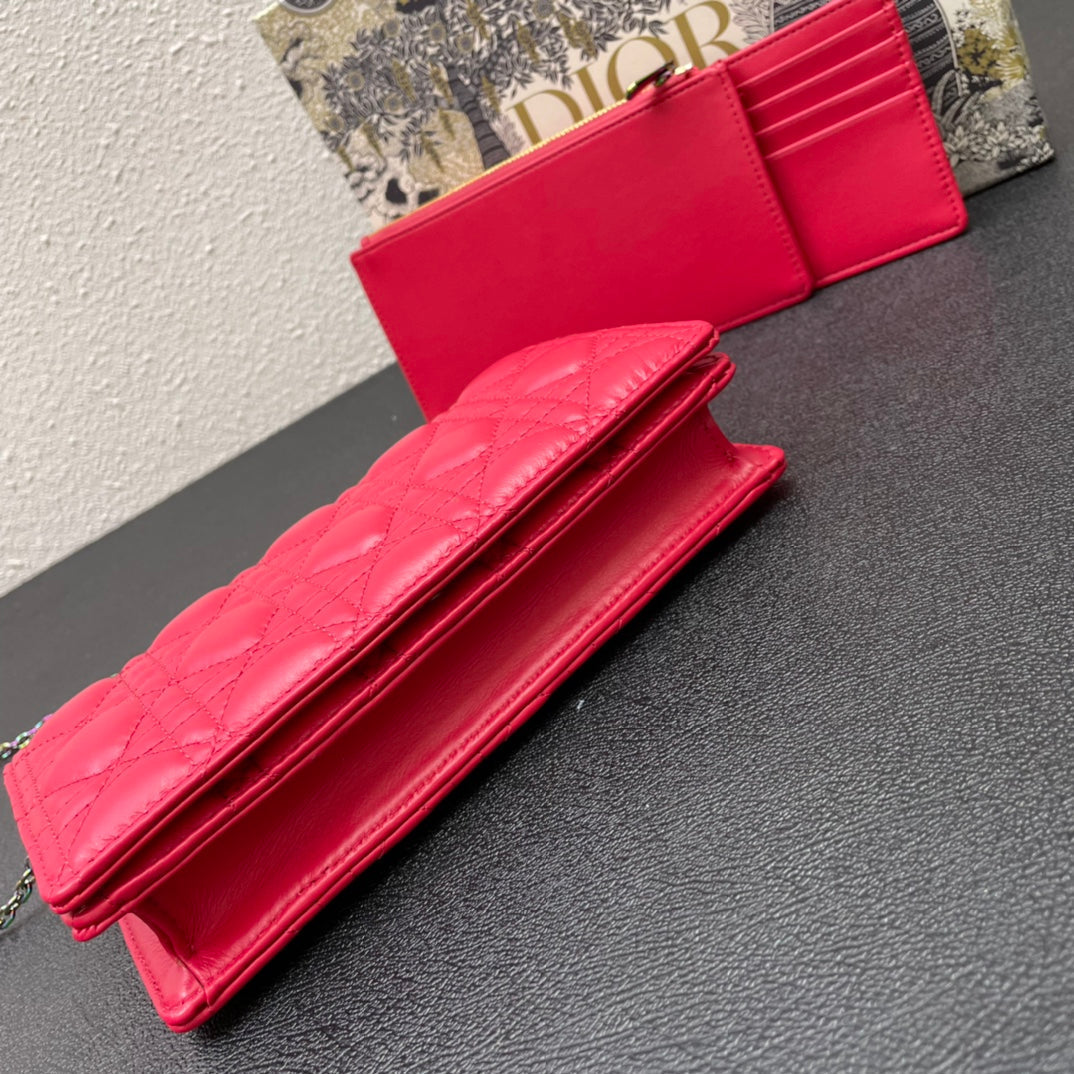 CARO SLIM POUCH 21 BAG IN CHERRY RED CALFSKIN