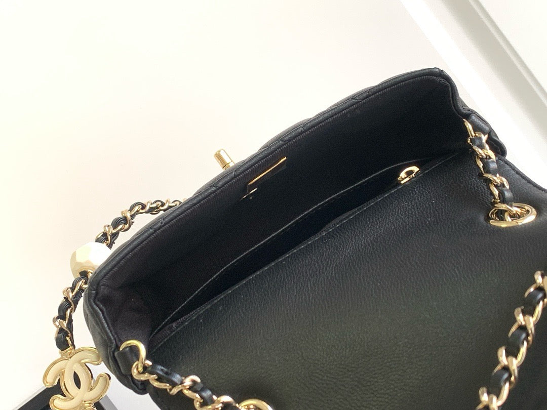 CHA 23K CF Bag