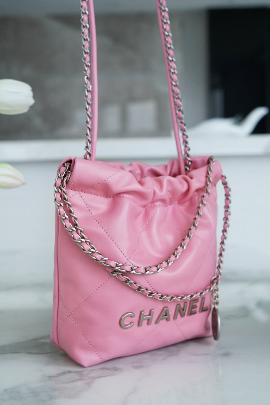 CHA 23s 22Mini Bag