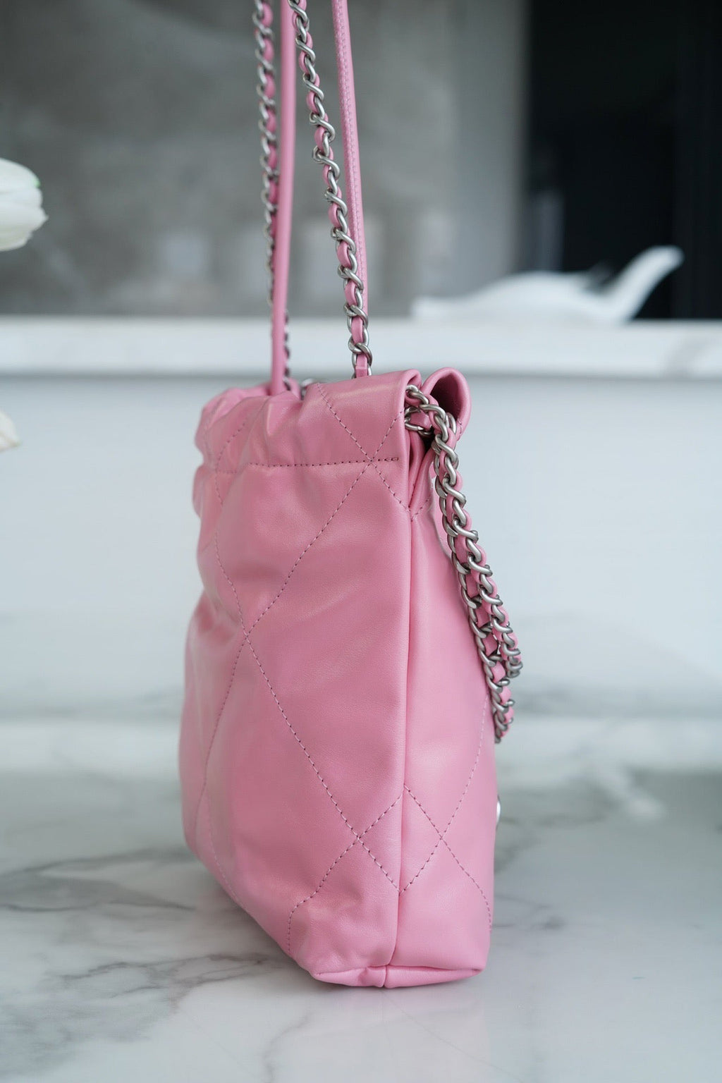 CHA 23s 22Mini Bag